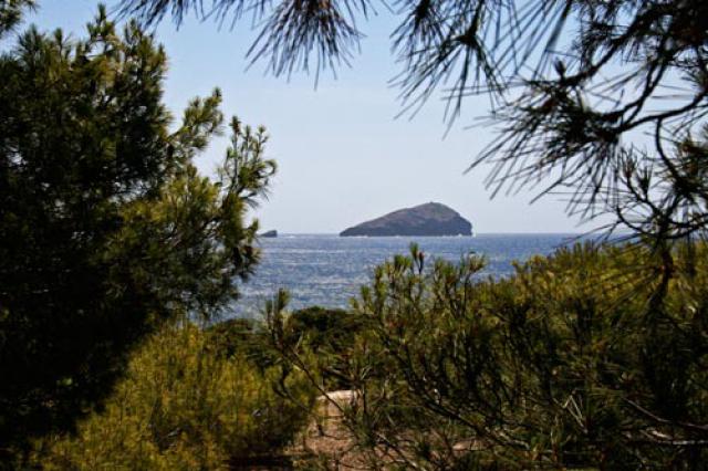 Photos for house 6770