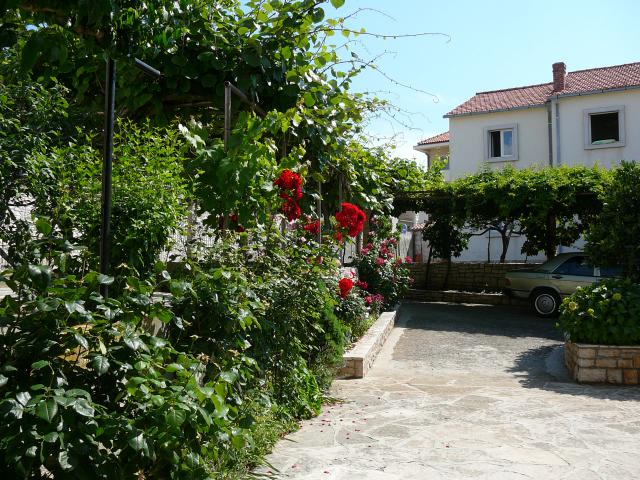 Photos for house 6773