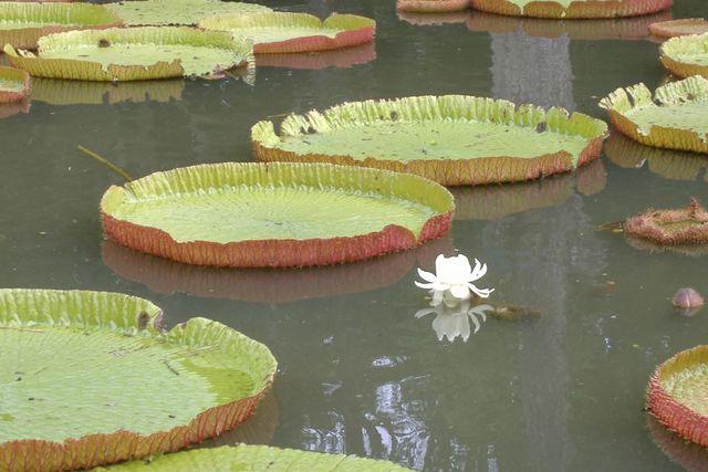 Photos for house 6901