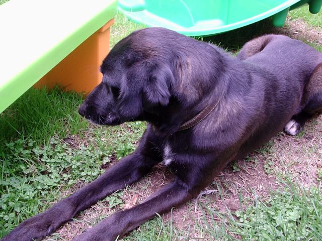 Photos for house 6999