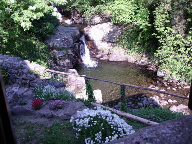 Photos for house 6999