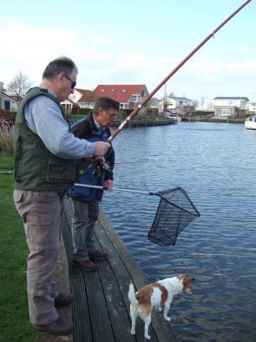 Photos for house 7337