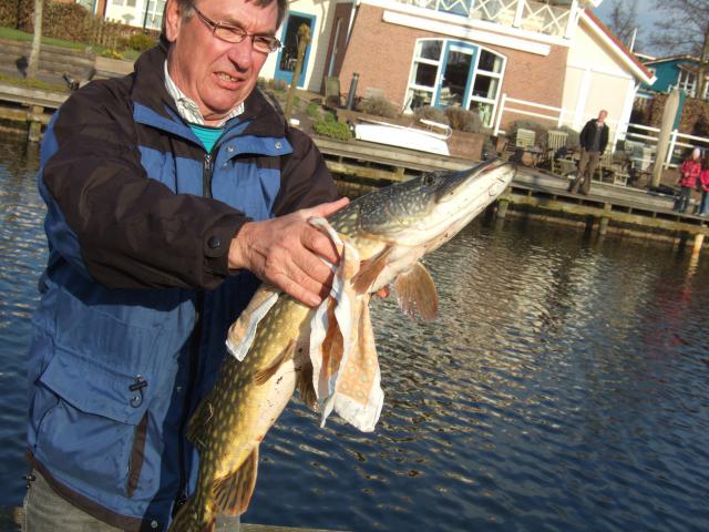 Photos for house 7337