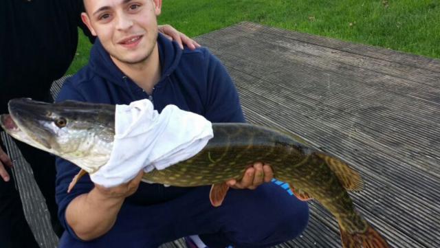 Photos for house 7337