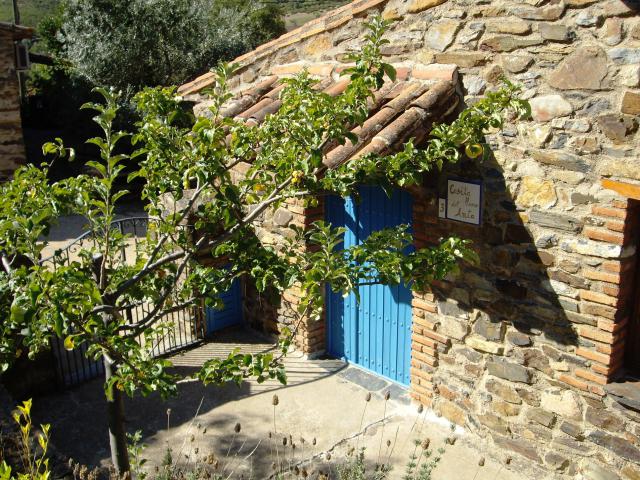 Photos for house 7391