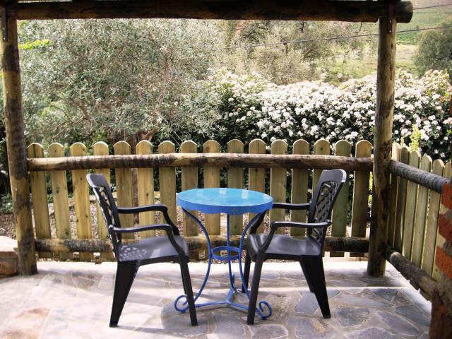 Photos for house 7392