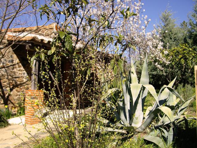 Photos for house 7395