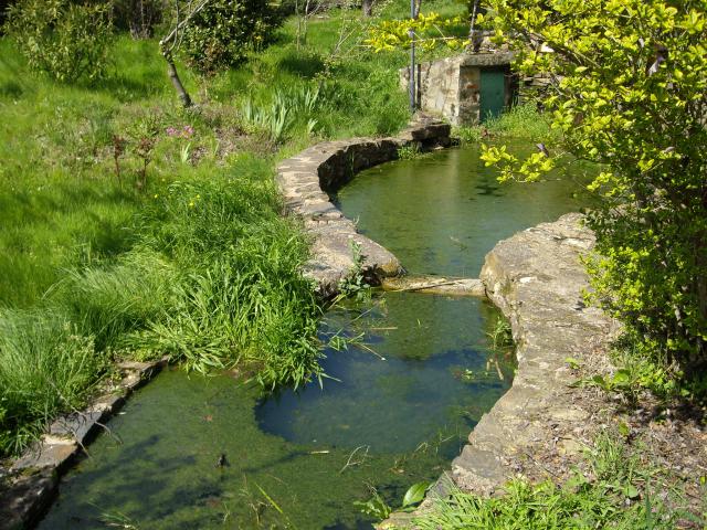 Photos for house 7395