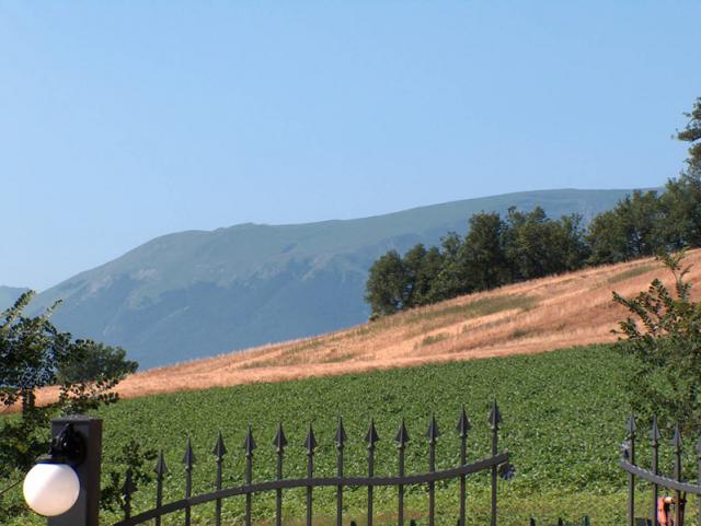 Photos for house 7471