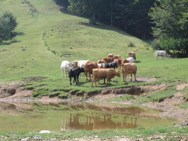 Photos for house 7524