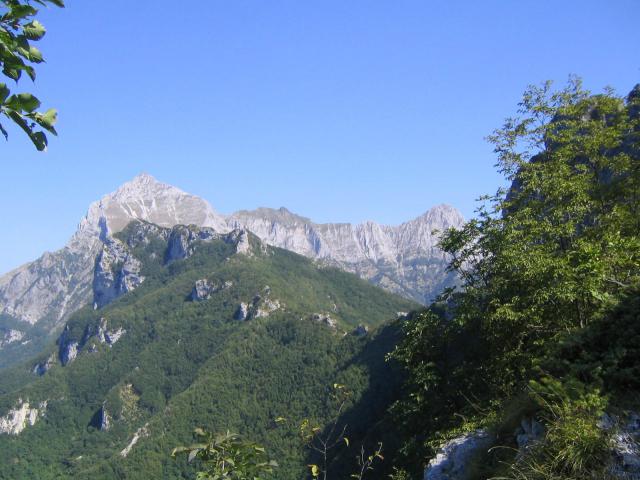 Photos for house 7524