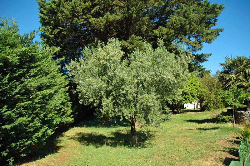 Photos for house 760