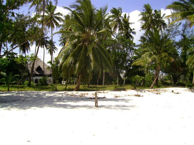 Photos for house 7613