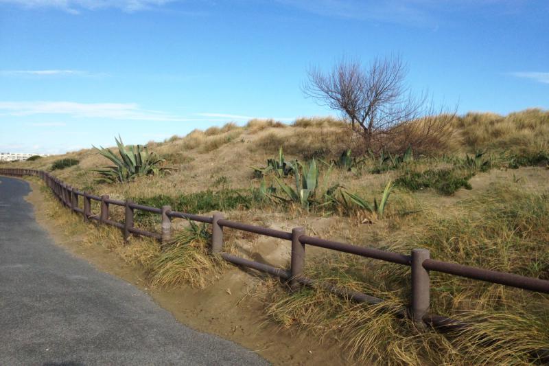 Photos for house 765