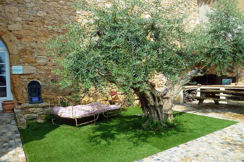 Photos for house 767