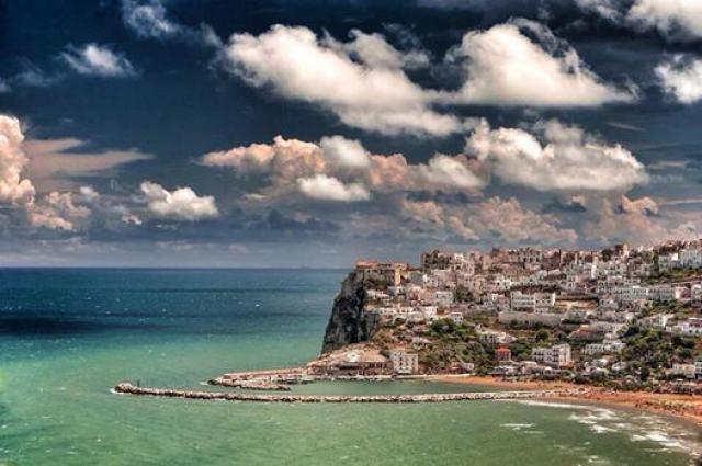 Photos for house 7684