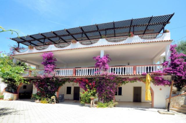 Photos for house 7684