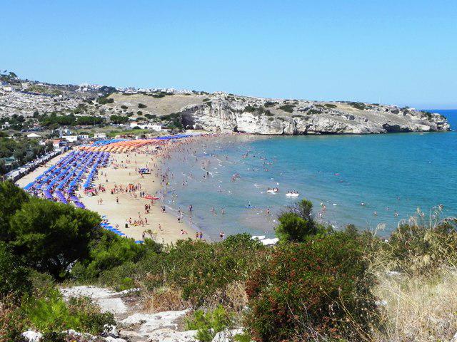 Photos for house 7684