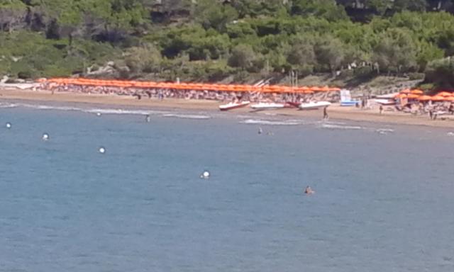 Photos for house 7684