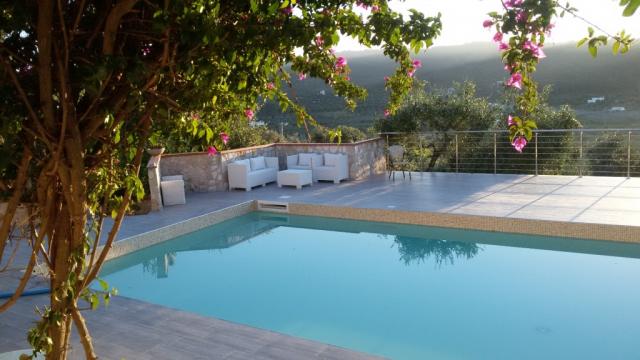 Photos for house 7684