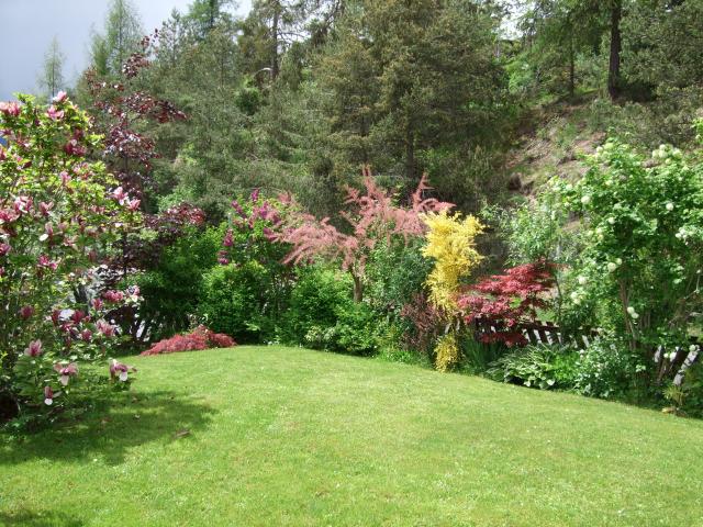 Photos for house 7742