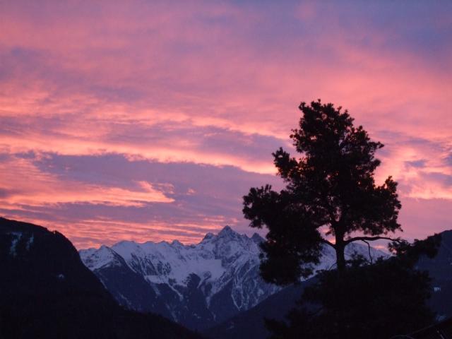 Photos for house 7742