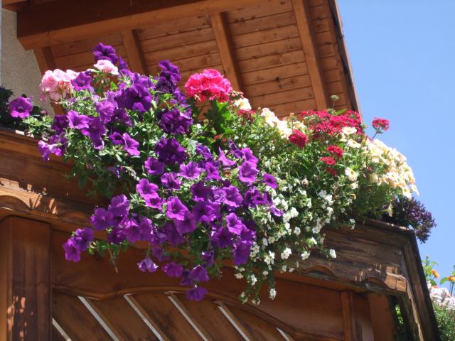 Photos for house 7742