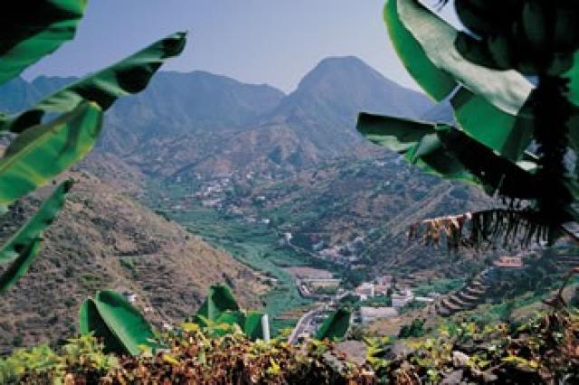 Photos for house 7773