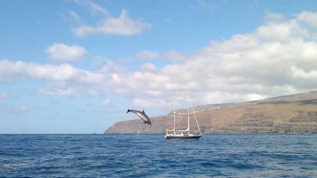 Photos for house 7773