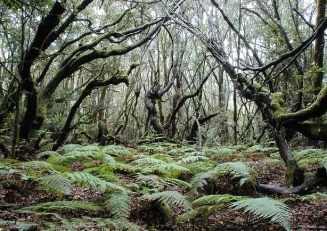 Photos for house 7773