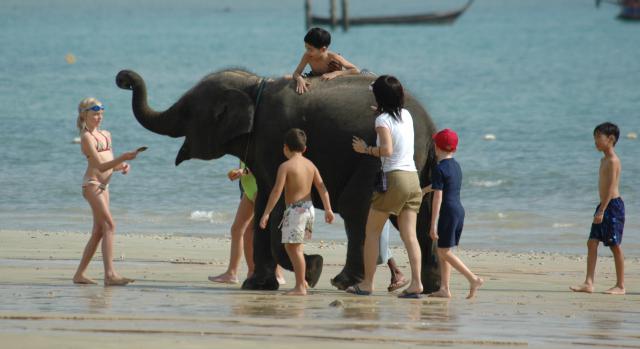 Photos for house 7802