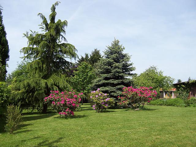 Photos for house 7910