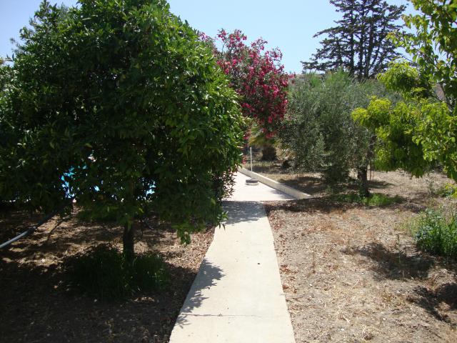 Photos for house 7922