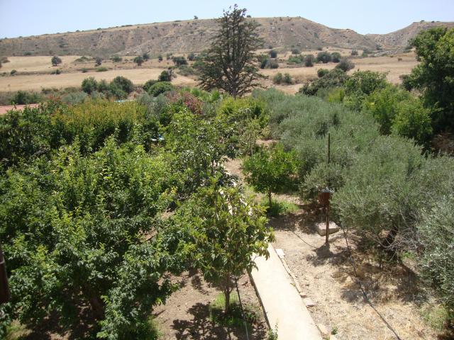 Photos for house 7922