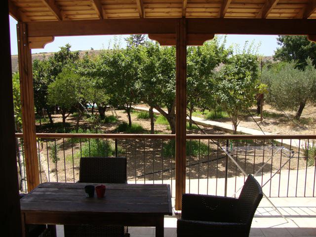 Photos for house 7922