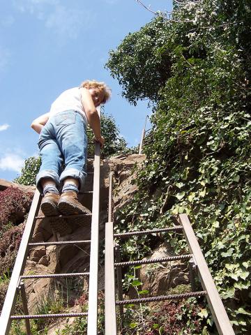 Photos for house 7942