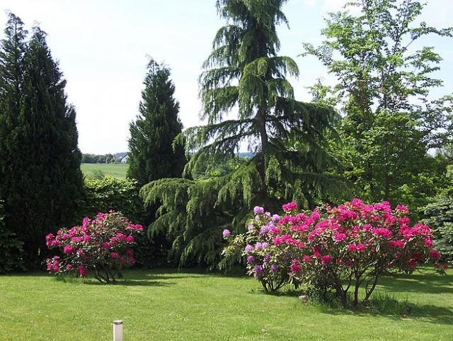 Photos for house 7943