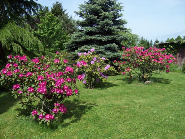 Photos for house 7944