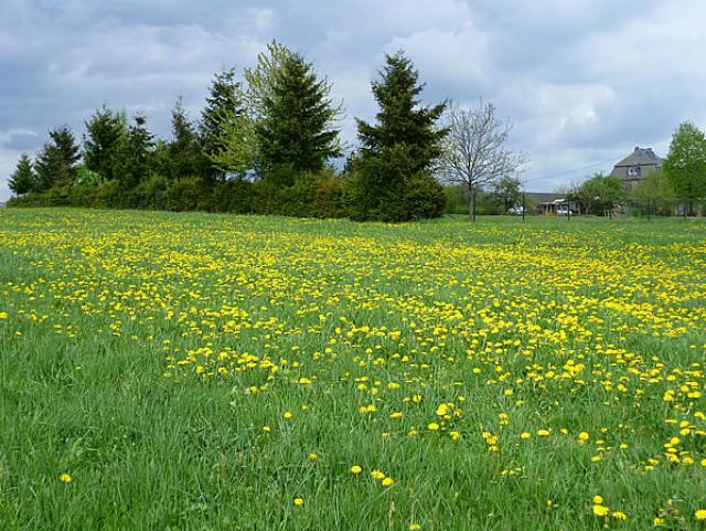 Photos for house 7944