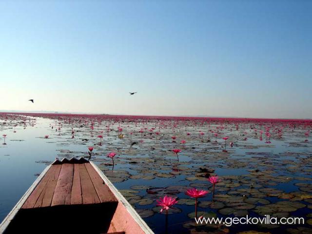 Photos for house 8047