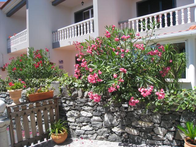 Photos for house 8123