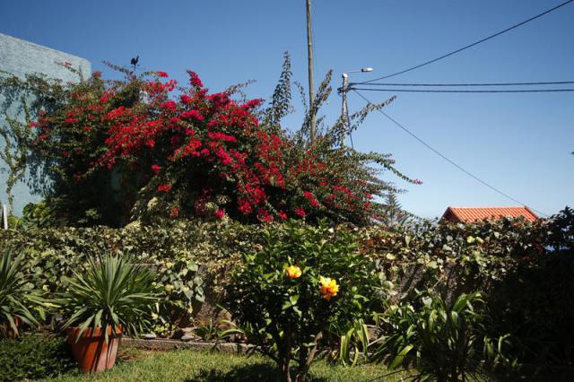 Photos for house 8123