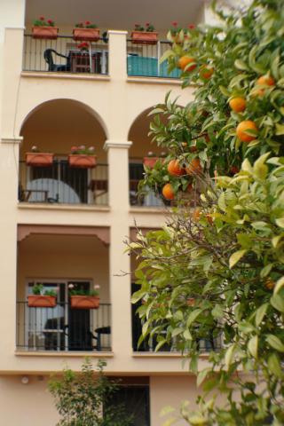 Photos for house 8163