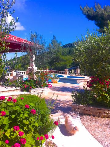 Photos for house 8211