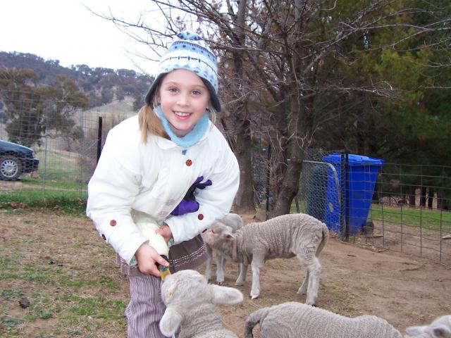 Photos for house 8450