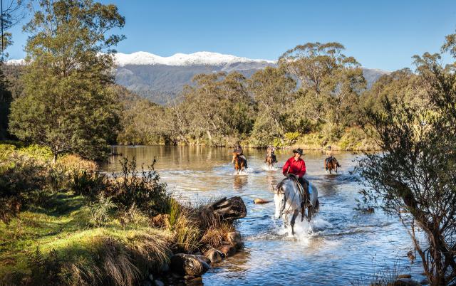 Photos for house 8450