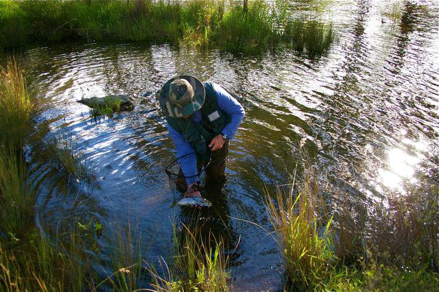 Photos for house 8450