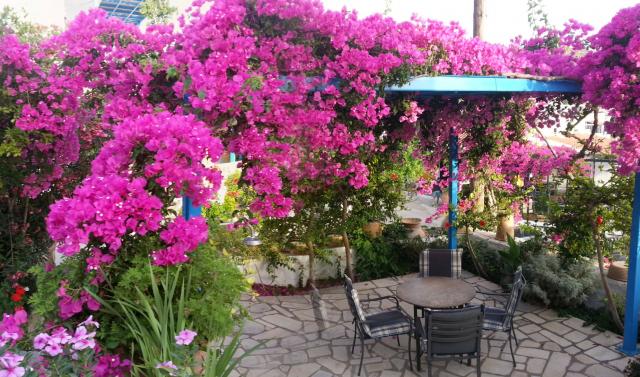 Photos for house 8457