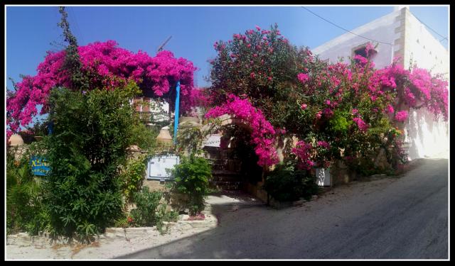 Photos for house 8457