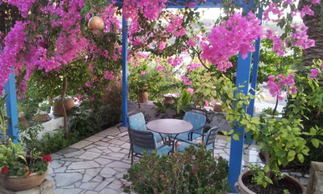 Photos for house 8457